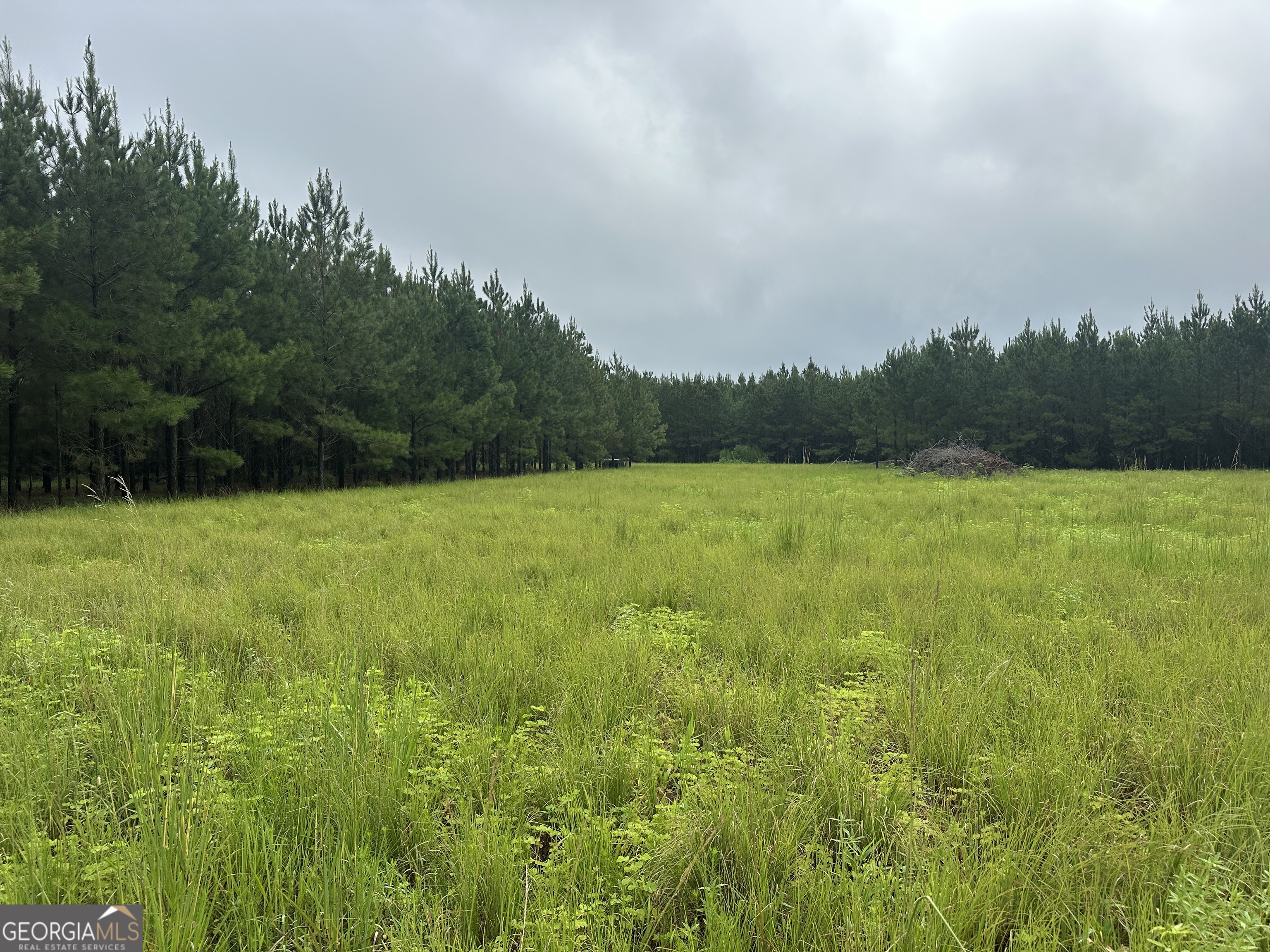 a view of a field with an ocean space