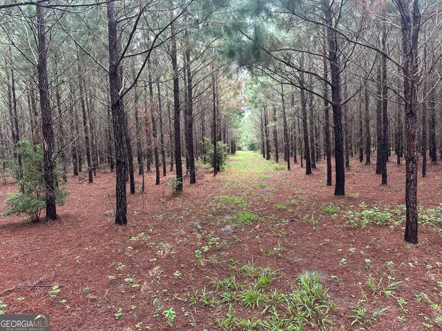 a view of outdoor space with lots of trees