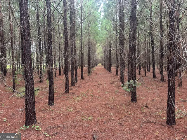 a view of a yard with trees