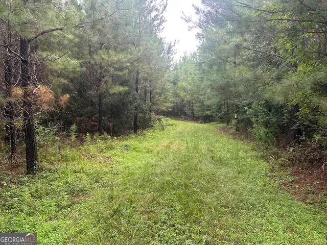 a view of an outdoor space and a yard