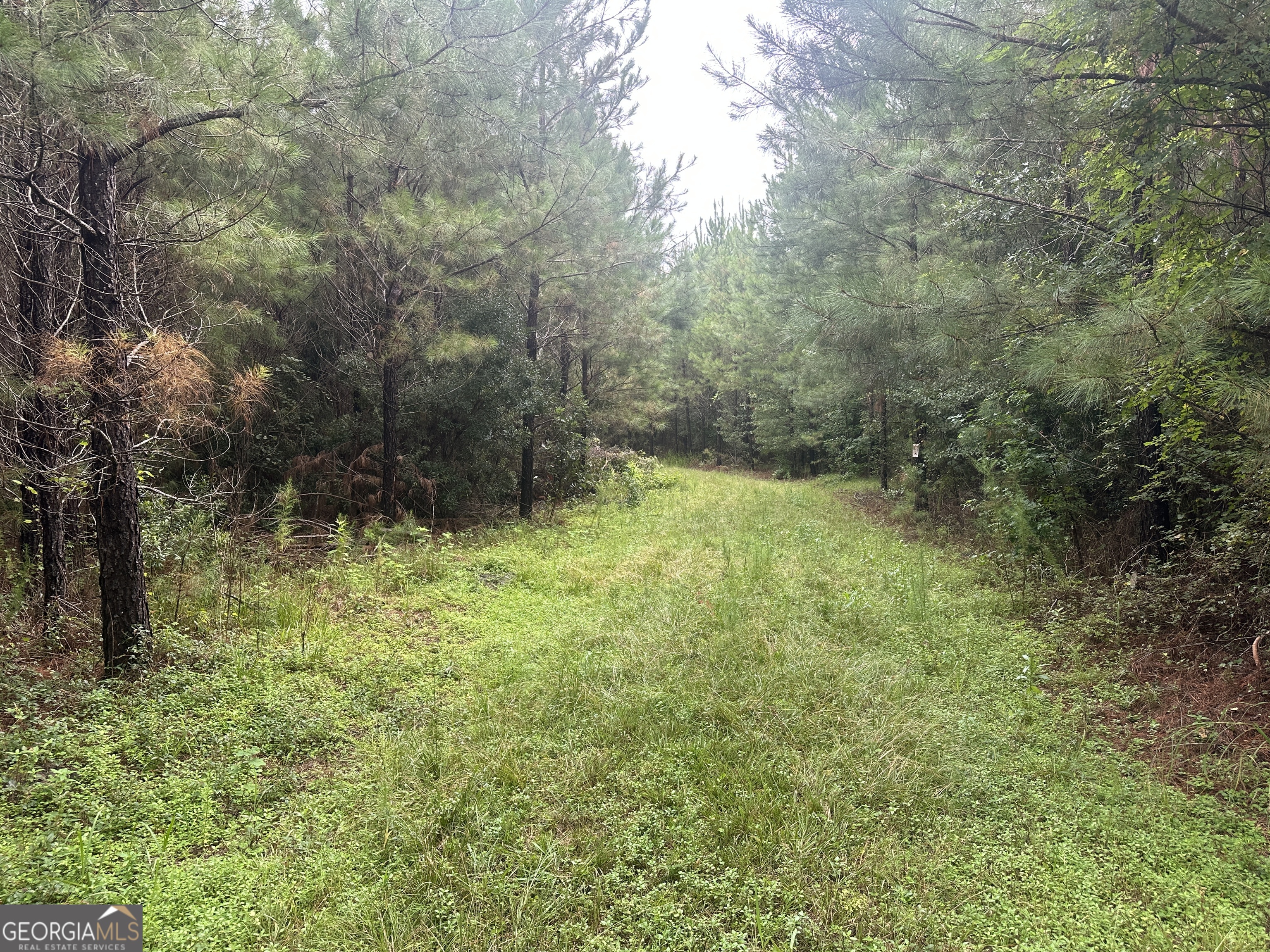 3302 Highway 67 Pembroke, GA 31321 - Photo 15 of 20 a view of an outdoor space and a yard