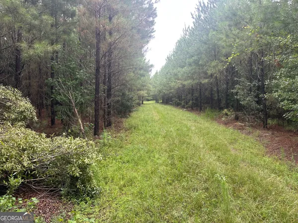 a backyard of a house with lots of green space and fog