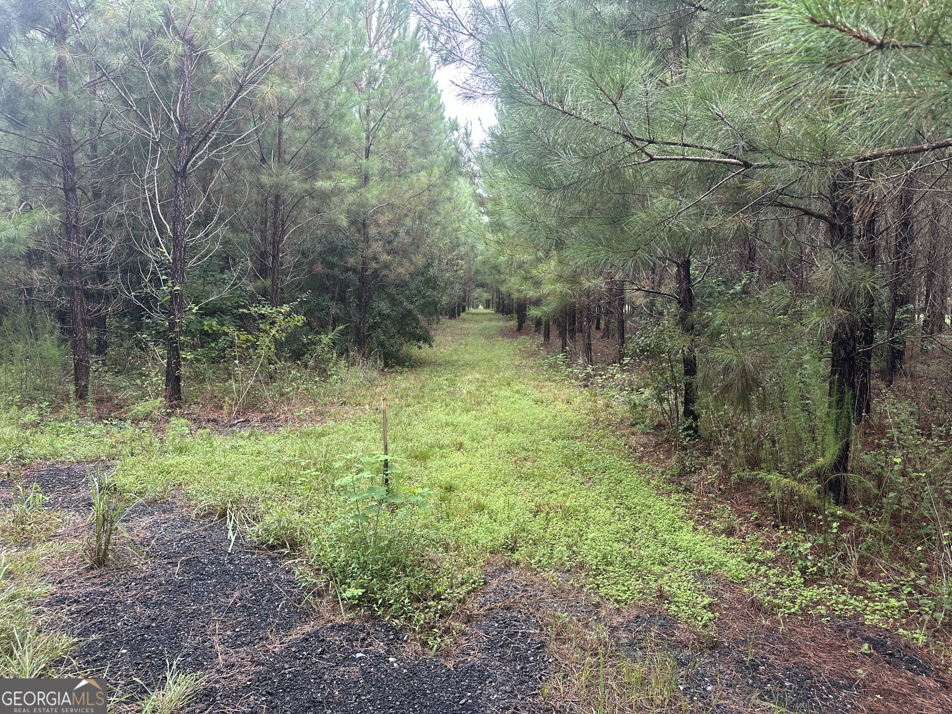 3302 Highway 67 Pembroke, GA 31321 - Photo 18 of 20 a backyard of a house with lots of green space