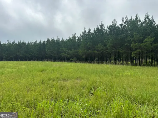 a view of outdoor space with swimming pool and trees in the background