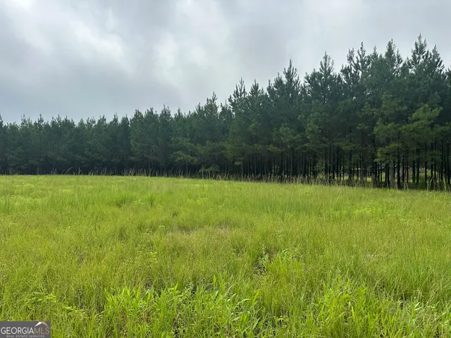 a view of outdoor space with swimming pool and trees in the background