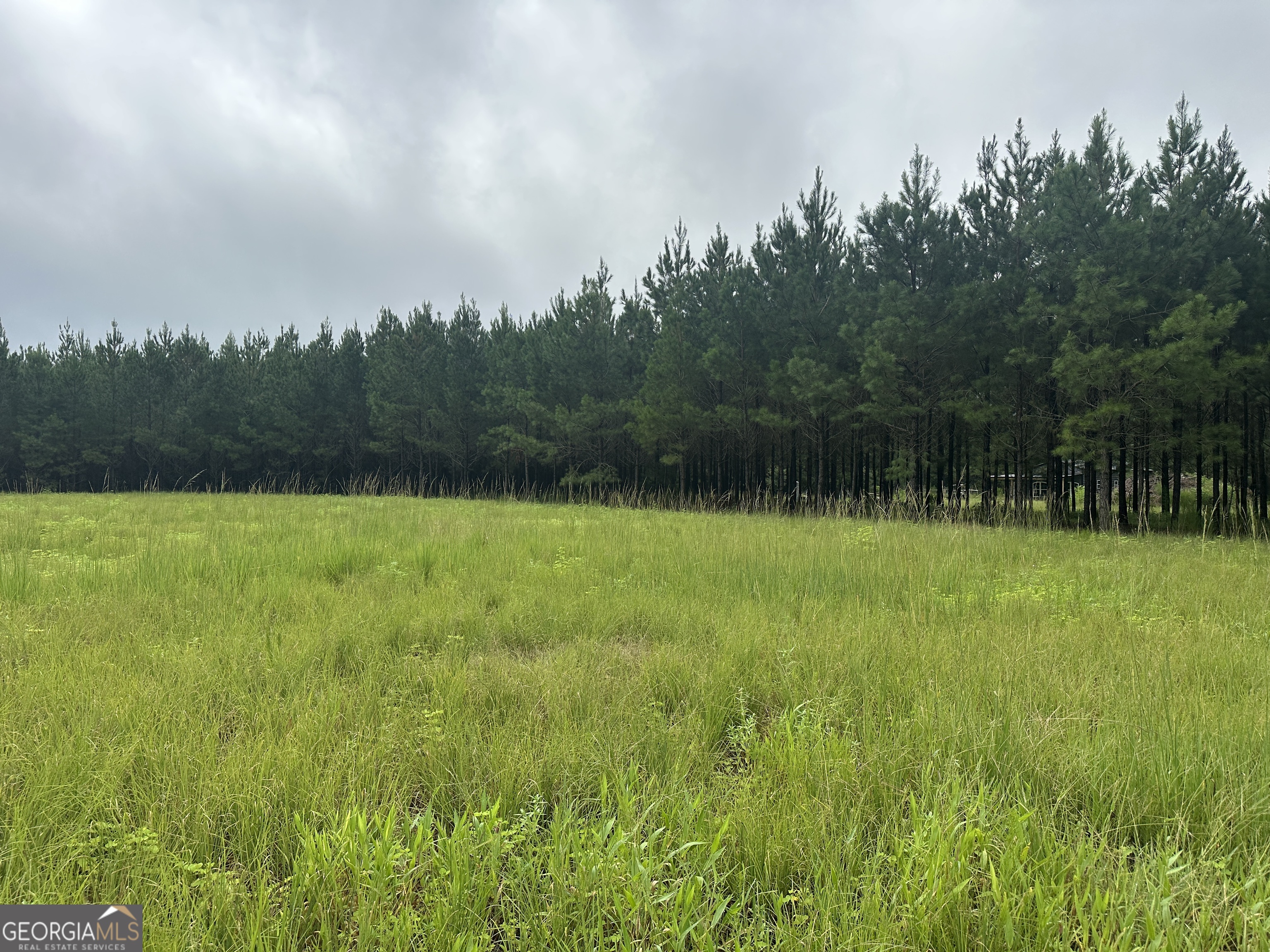 3302 Highway 67 Pembroke, GA 31321 - Photo 2 of 20 a view of outdoor space with swimming pool and trees in the background