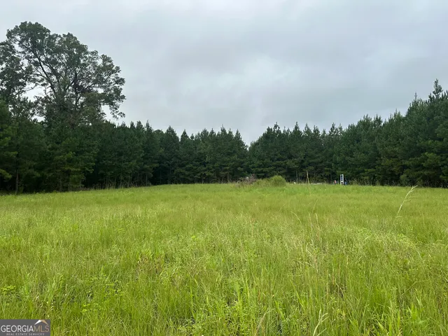 a view of a field of grass and trees