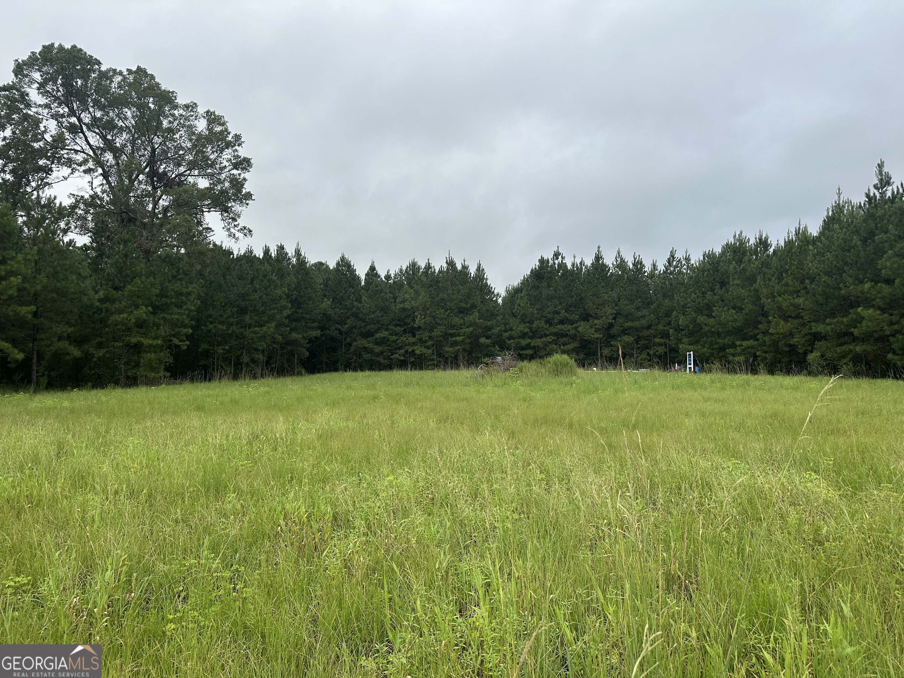 3302 Highway 67 Pembroke, GA 31321 - Photo 3 of 20 a view of a field of grass and trees