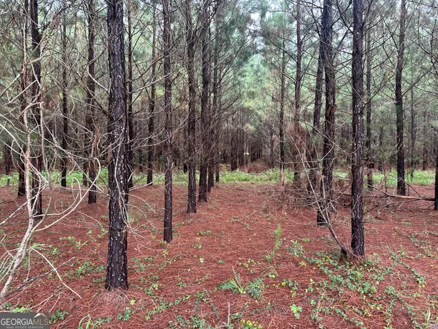 a view of outdoor space with lots of trees