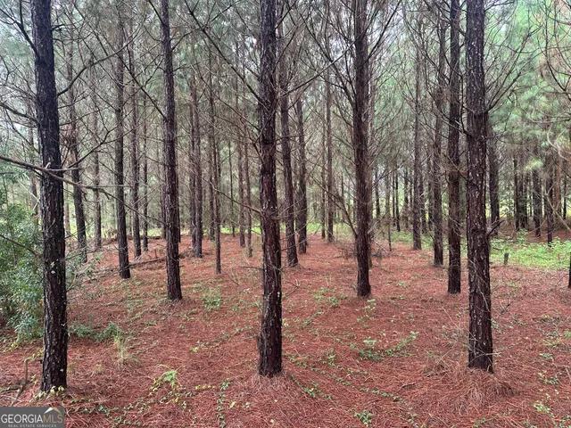 a view of outdoor space with lots of trees