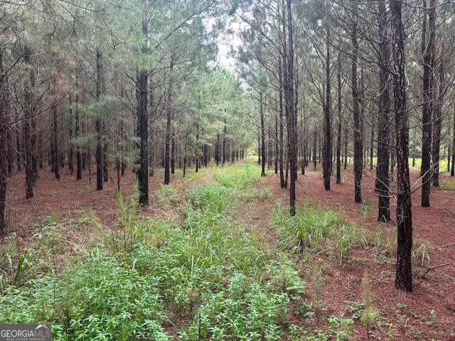 a view of outdoor space with lots of trees
