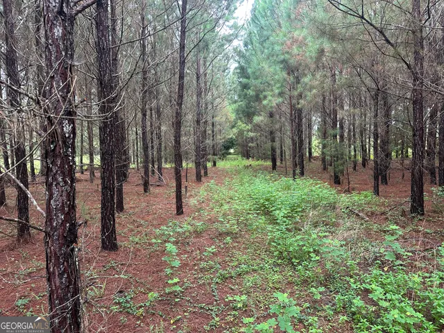 a view of outdoor space with trees