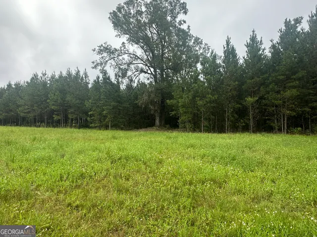 a view of a backyard with a garden