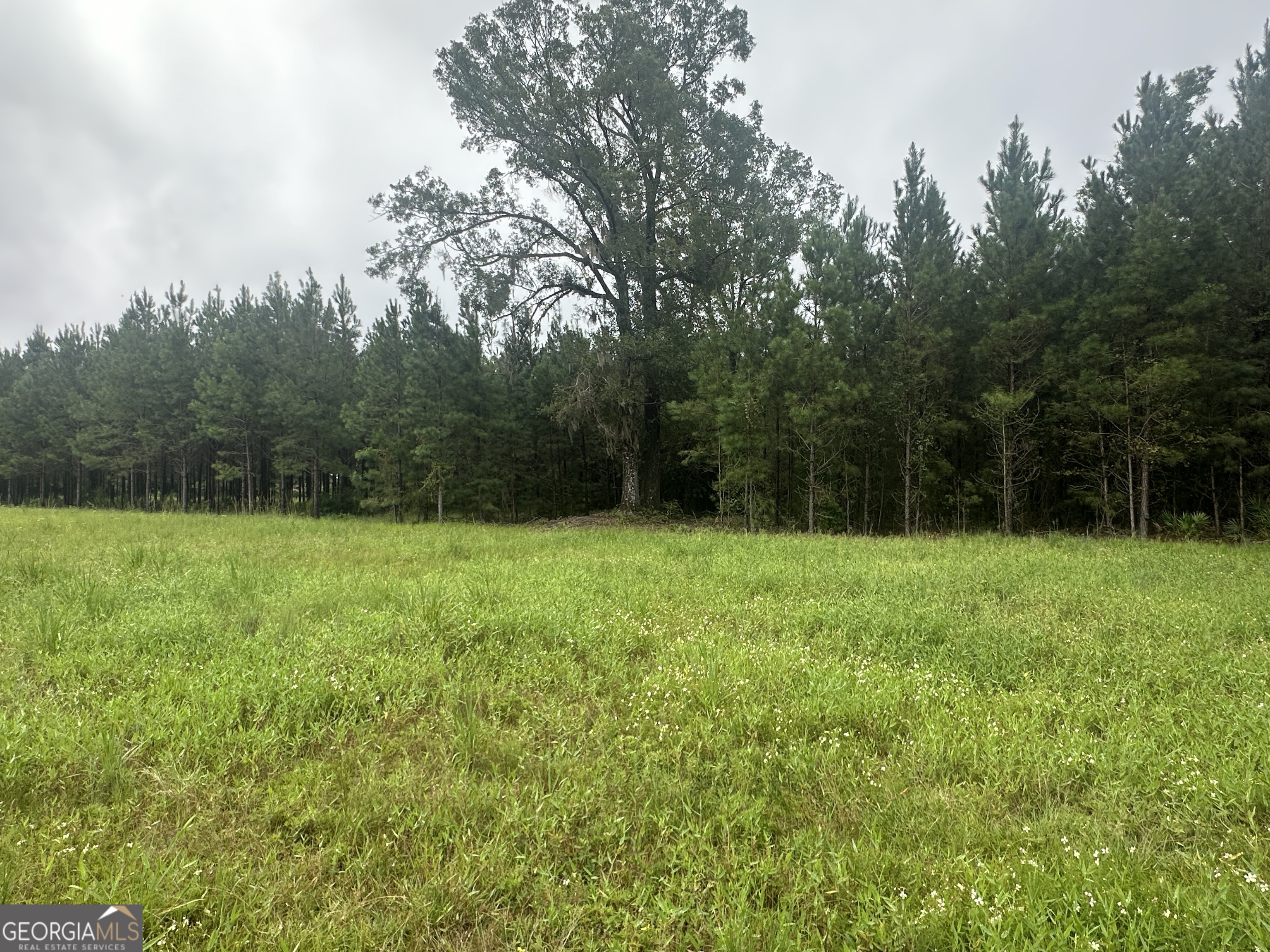 3302 Highway 67 Pembroke, GA 31321 - Photo 9 of 20 a view of a backyard with a garden