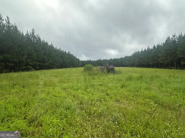 a view of a field with an ocean