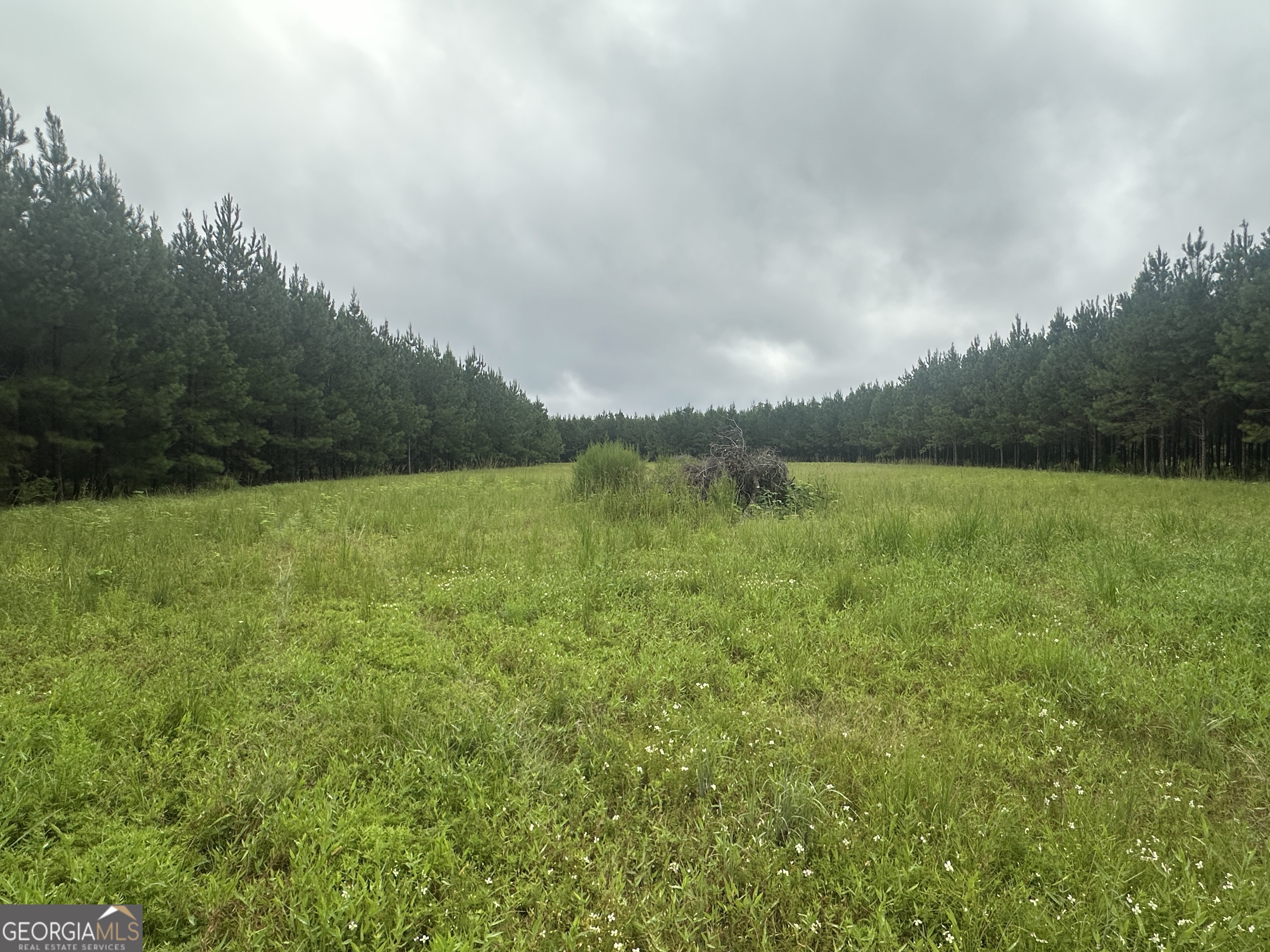 3302 Highway 67 Pembroke, GA 31321 - Photo 10 of 20 a view of a field with an ocean