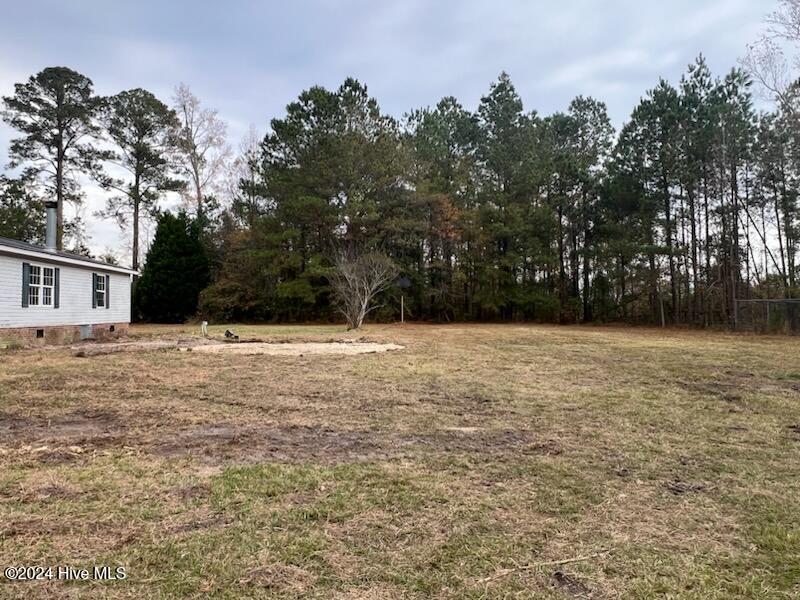 3200 Wintergreen Road Cove City, NC 28523 - Photo 21 of 22 Rear Yard
