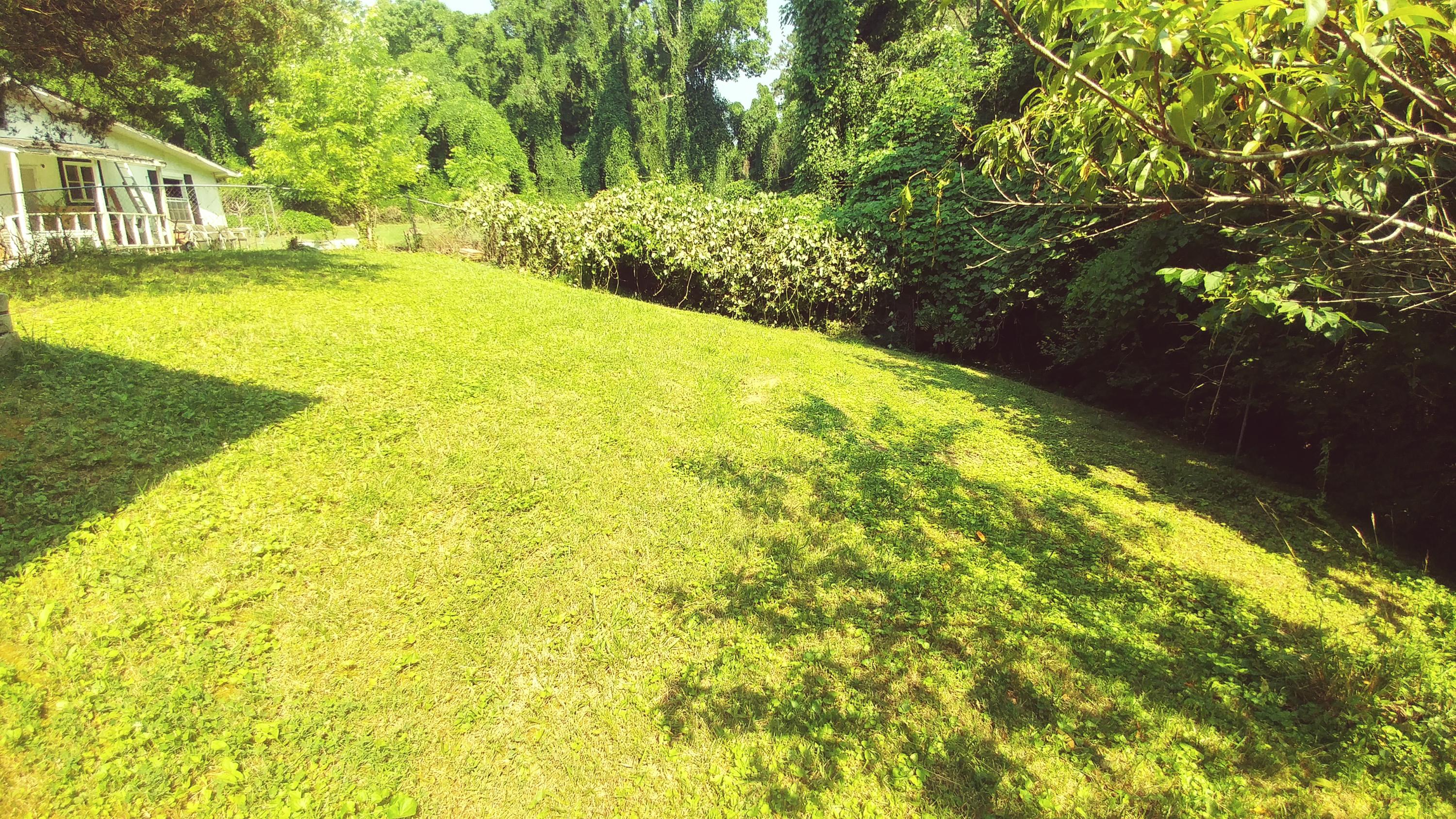110 Hunter Place Oak Ridge, TN 37830 - Photo 15 of 16 0706211113_HDR