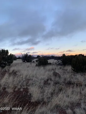 $8,000 | 8084 County Road 3000, Concho, AZ 85924