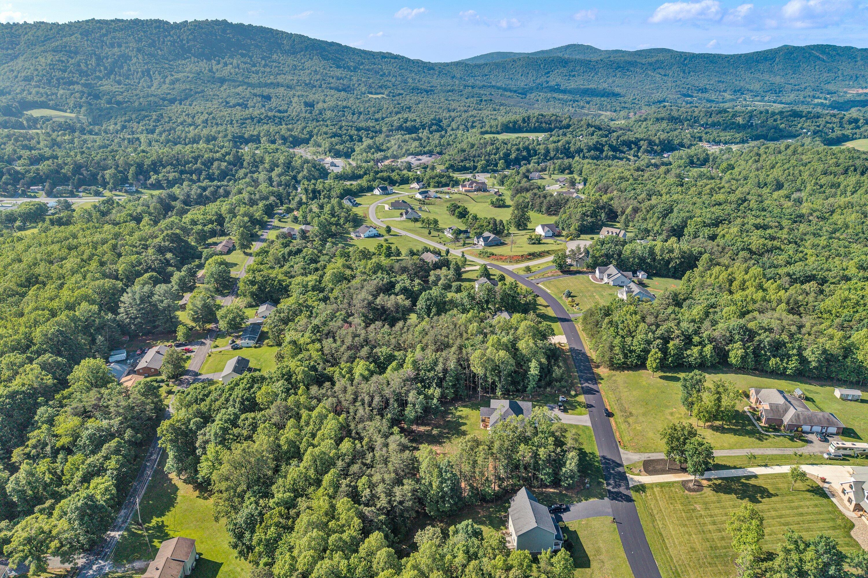 43 Thornblade Way Blue Ridge, VA 24064 - Photo 6 of 11 SGP-0025