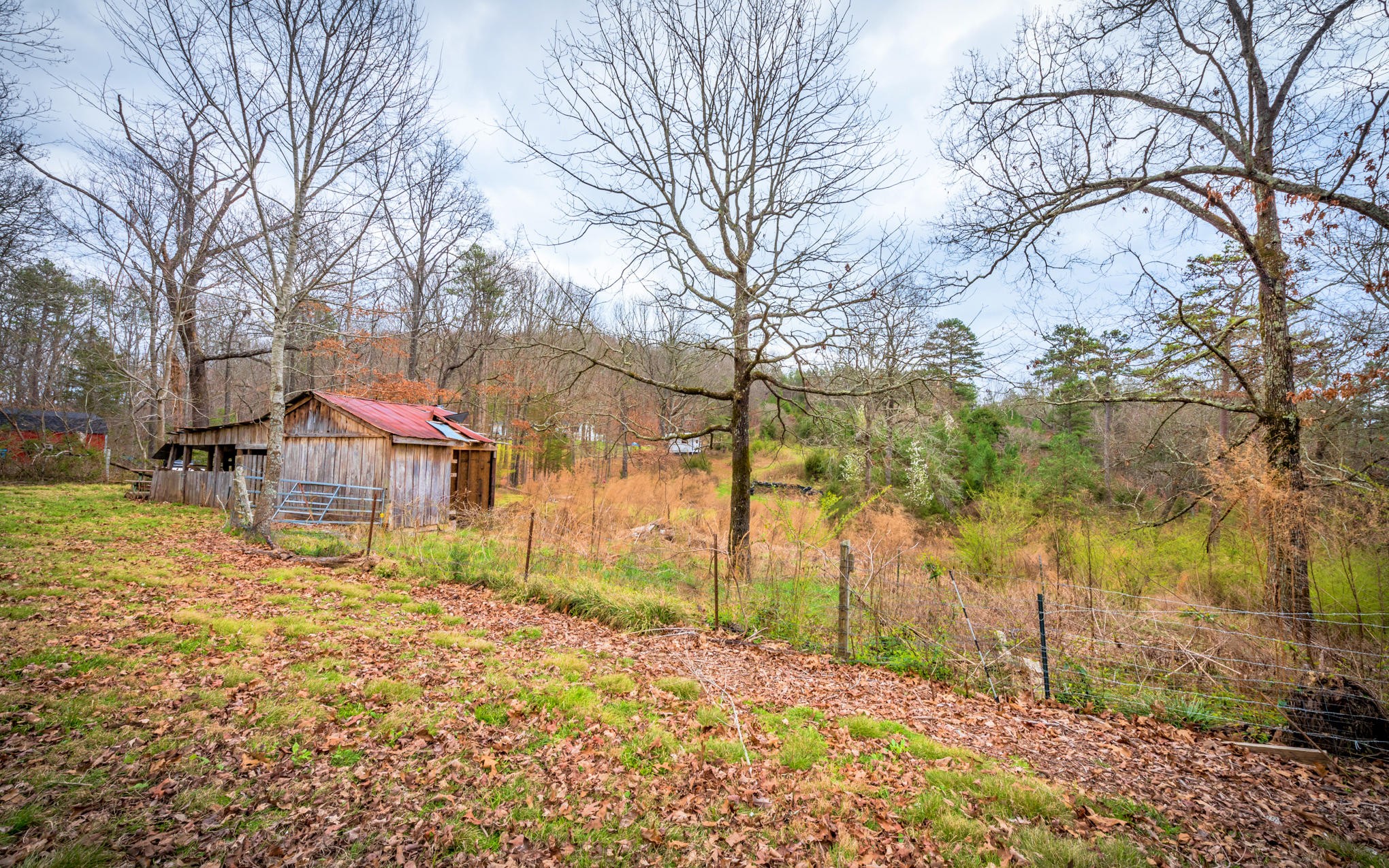 10906 Possum Trail Road Harrison, TN 37341 - Photo 19 of 20 Gallery Image 19