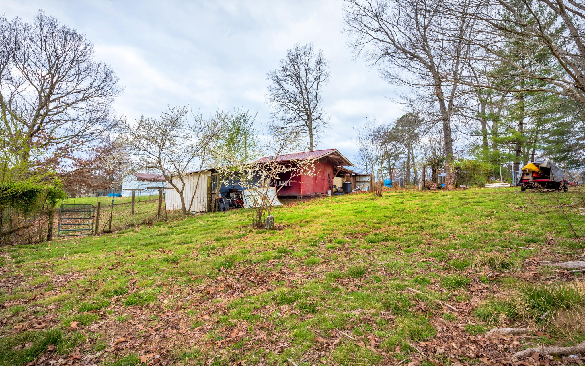 10906 Possum Trail Road Harrison, TN 37341 - Photo 20 of 20 Gallery Image 20