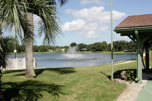 11204 Pembridge Court, Unit 4 Port Richey, FL 34668 - Photo 44 of 58 a view of a backyard