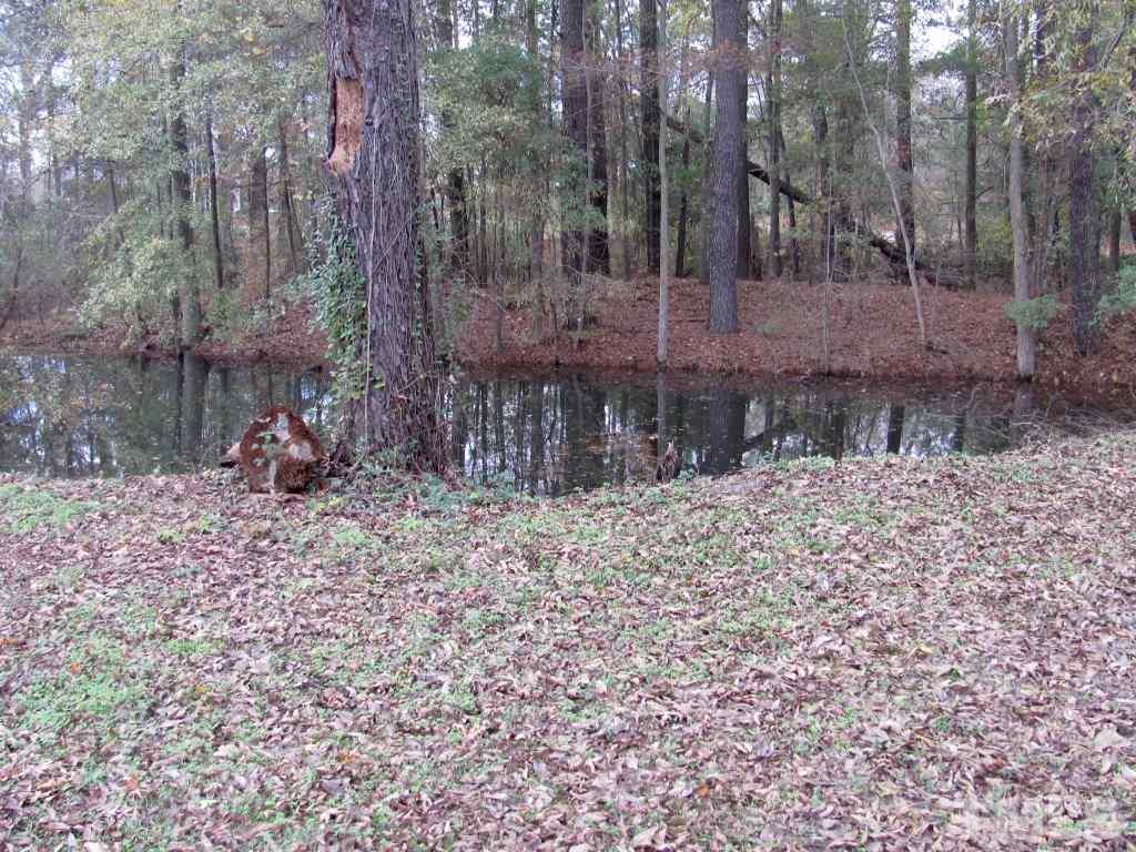 91 T T-Bar Road, Unit A Benson, NC 27504 - Photo 25 of 25