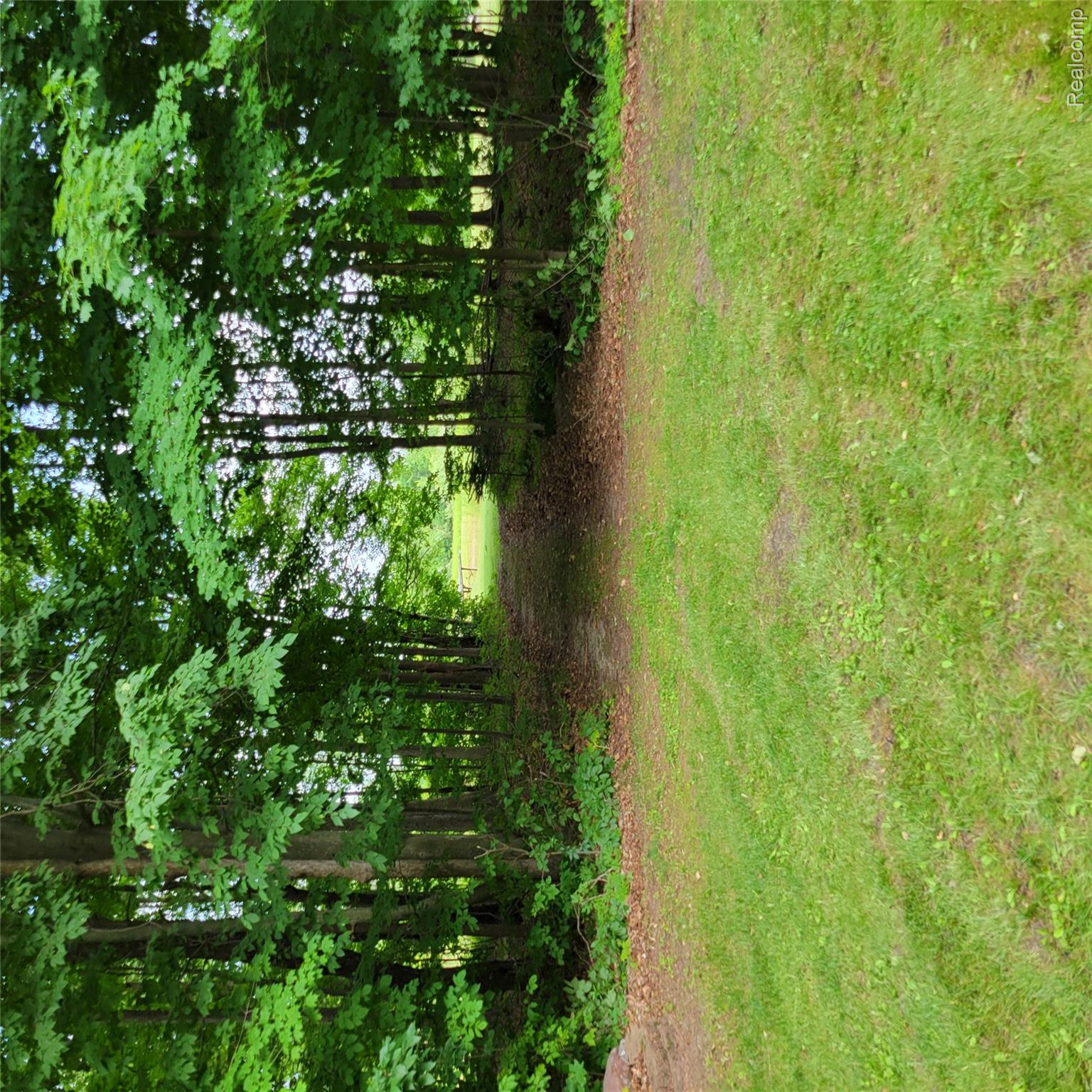 9345 Weber Road Columbus, MI 48063 - Photo 9 of 37 20260725_161724.jpg