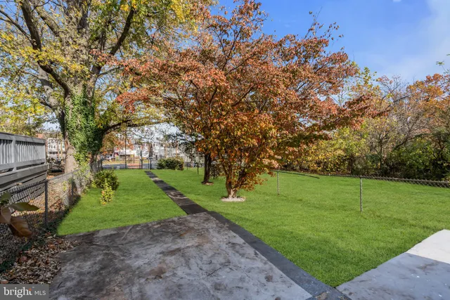a view of a park with large trees