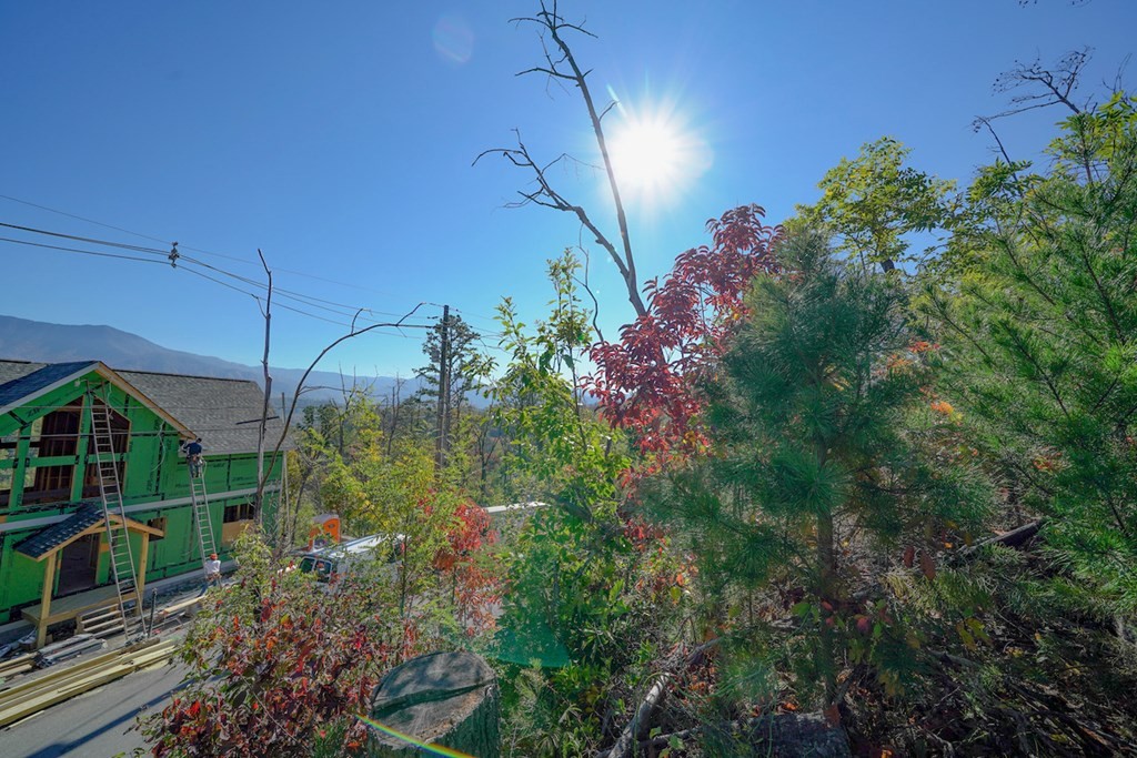 0 Cliff Branch Road Gatlinburg, TN 37738 - Photo 6 of 12 Gallery Image 6