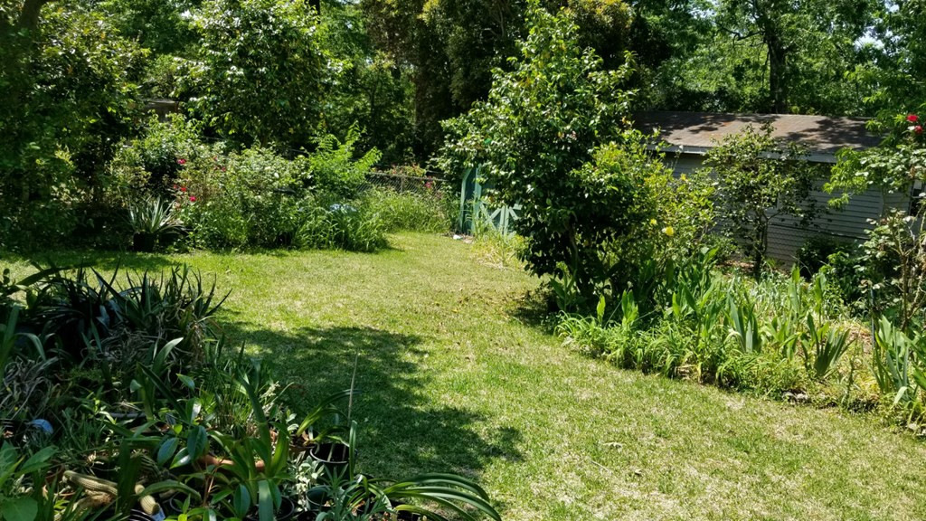 2354 Brookgreen Road Sumter, SC 29154 - Photo 19 of 24