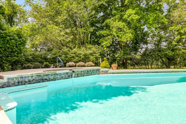 a view of yard with large trees
