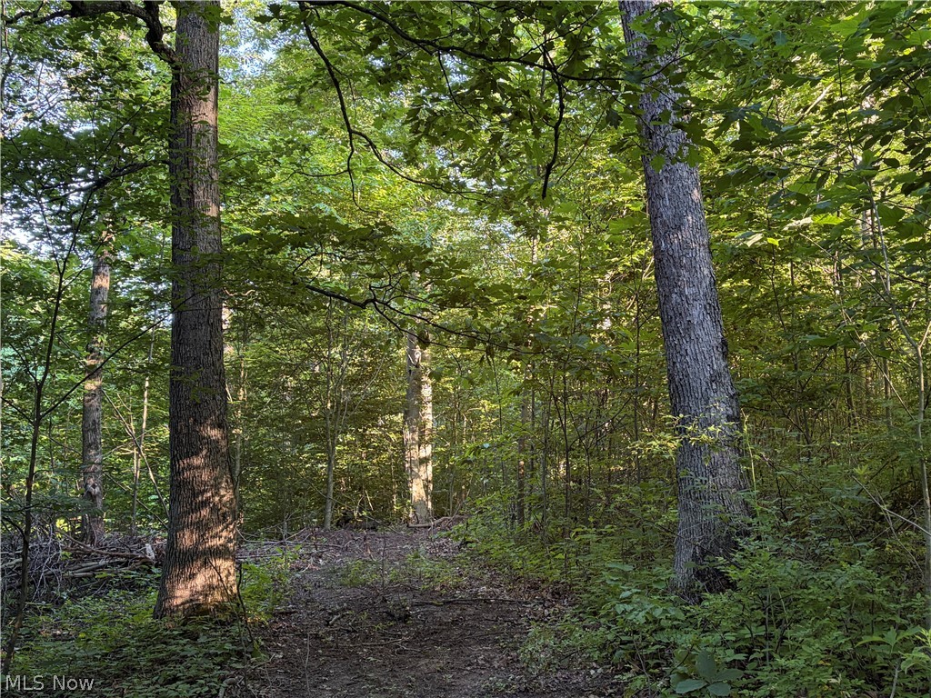 Sykes Ridge Road Clarington, OH 43915 - Photo 36 of 42