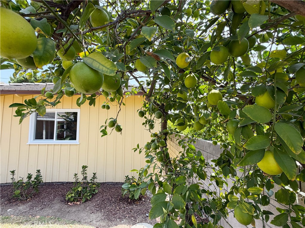 416 Drake Road Arcadia, CA 91007 - Photo 29 of 29