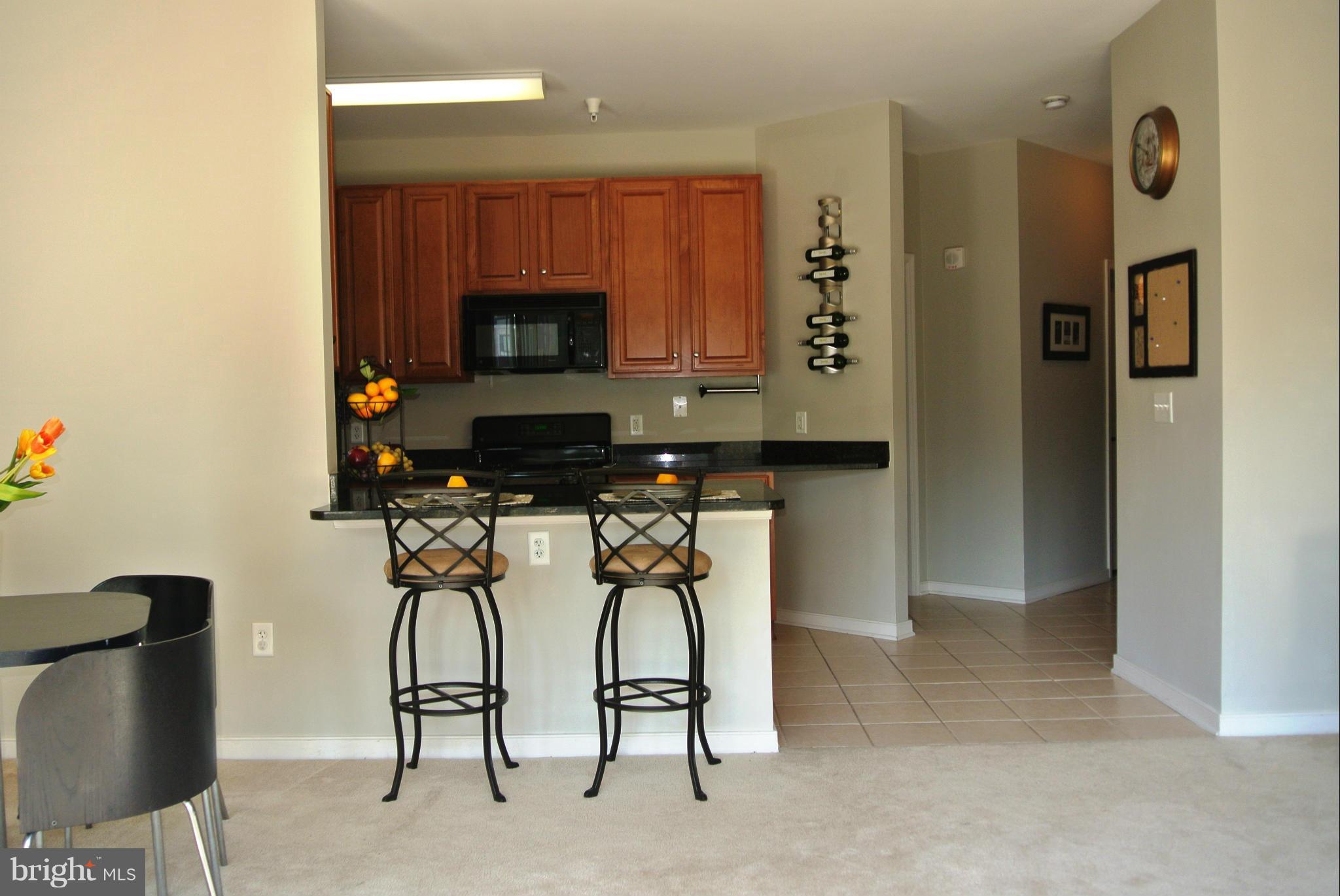8045 Newell Street, Unit 218 Silver Spring, MD 20910 - Photo 12 of 30 Interior (General)