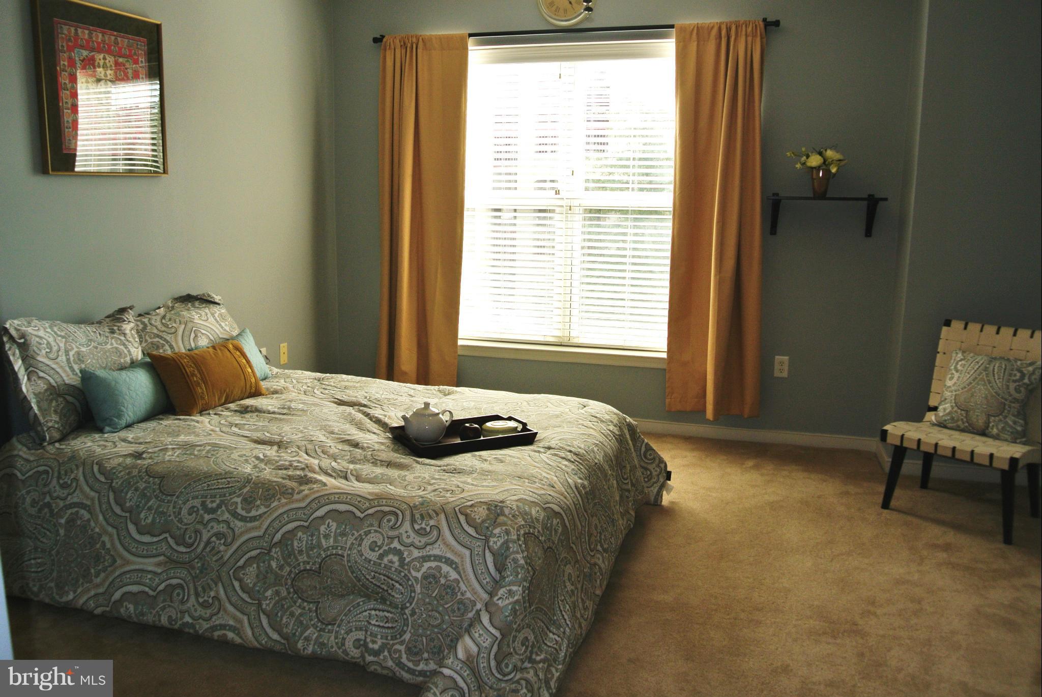 8045 Newell Street, Unit 218 Silver Spring, MD 20910 - Photo 16 of 30 Bedroom (Master)