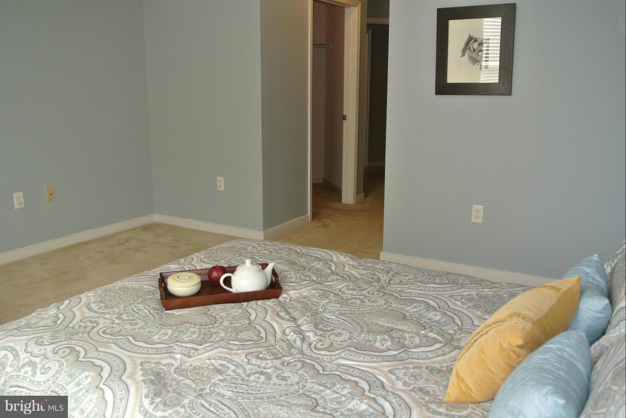 8045 Newell Street, Unit 218 Silver Spring, MD 20910 - Photo 18 of 30 Bedroom (Master)