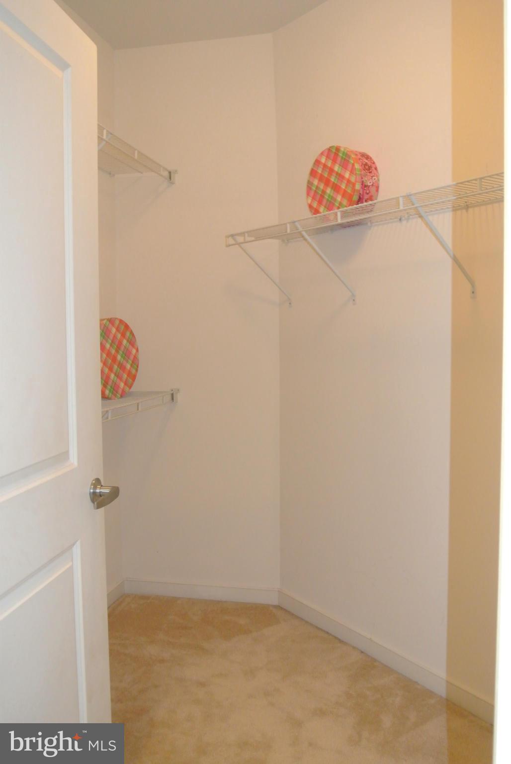 8045 Newell Street, Unit 218 Silver Spring, MD 20910 - Photo 19 of 30 Bedroom (Master) Walk-in Closet