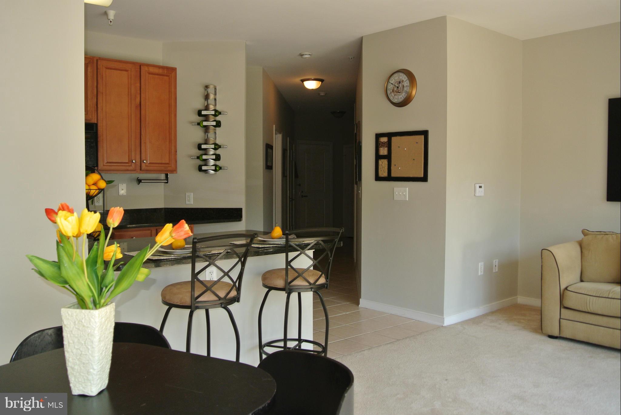 8045 Newell Street, Unit 218 Silver Spring, MD 20910 - Photo 7 of 30 Living Room