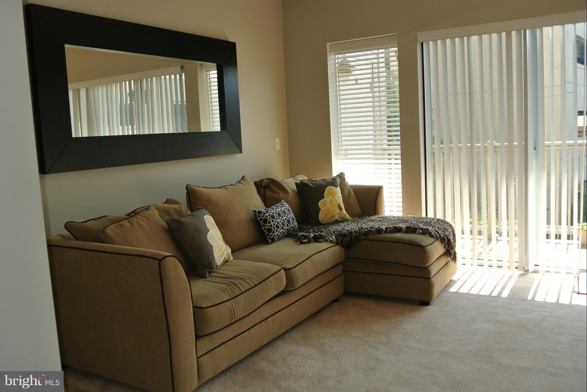 8045 Newell Street, Unit 218 Silver Spring, MD 20910 - Photo 8 of 30 Living Room