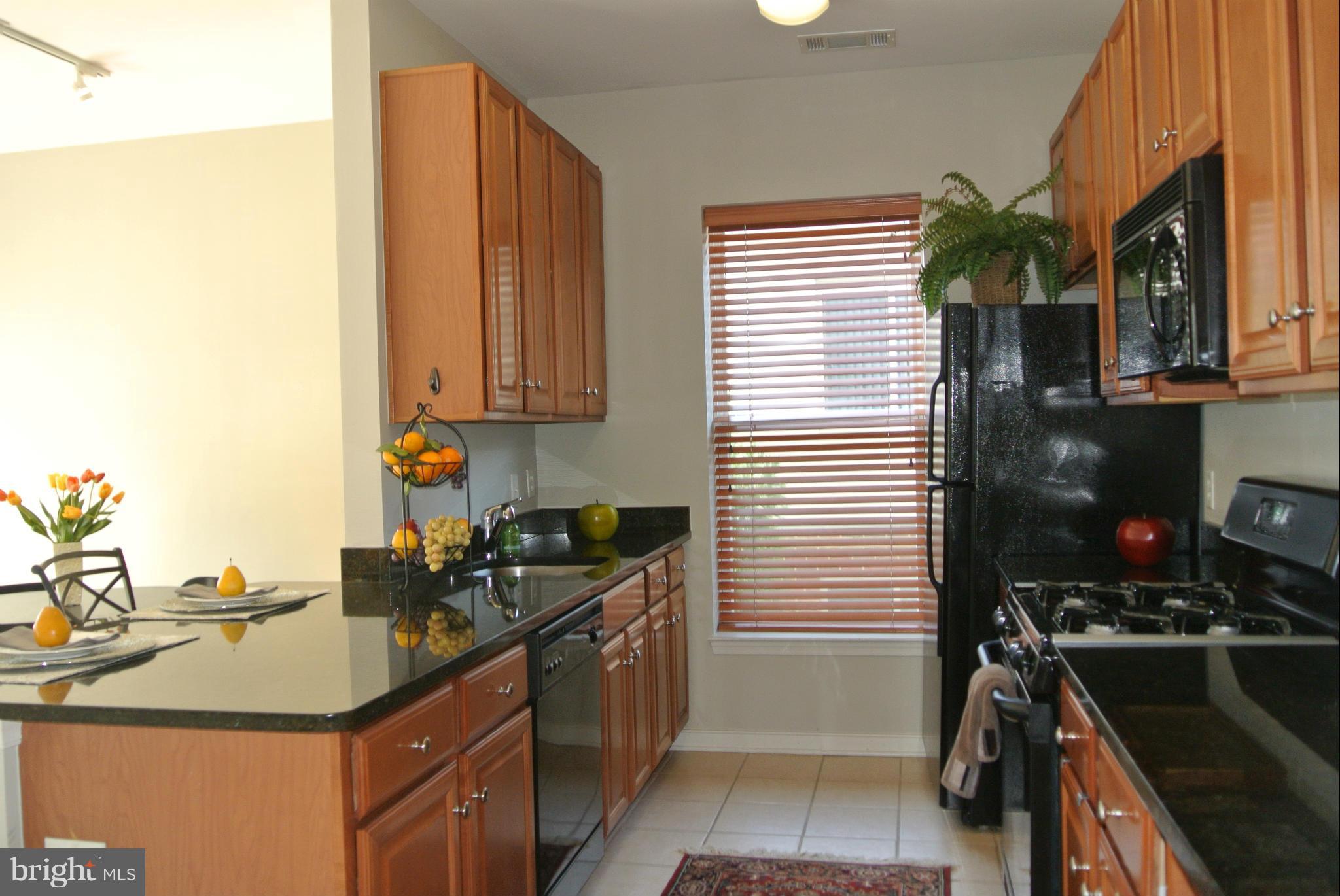 8045 Newell Street, Unit 218 Silver Spring, MD 20910 - Photo 9 of 30 Kitchen