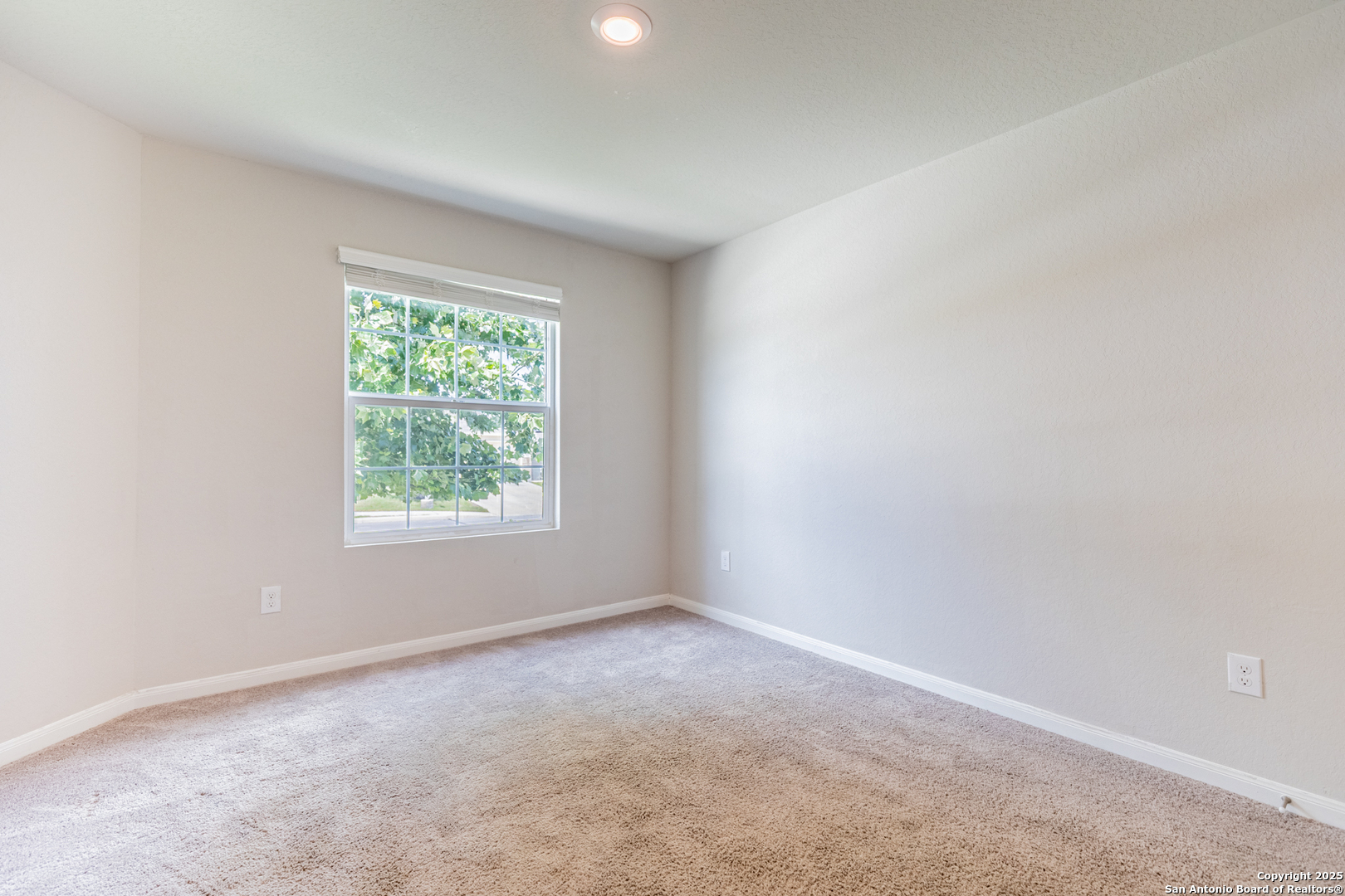 6674 Beehive Drive San Antonio, TX 78252 - Photo 3 of 30