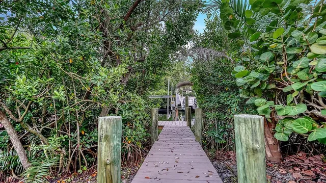 a potted plant sitting in front of a room