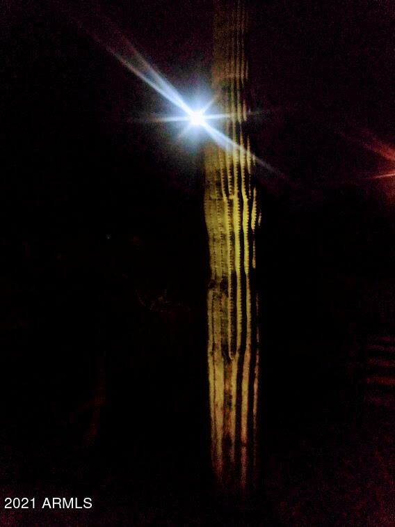 3530 North Hawes Road, Unit 9 Mesa, AZ 85207 - Photo 54 of 56 cactus1
