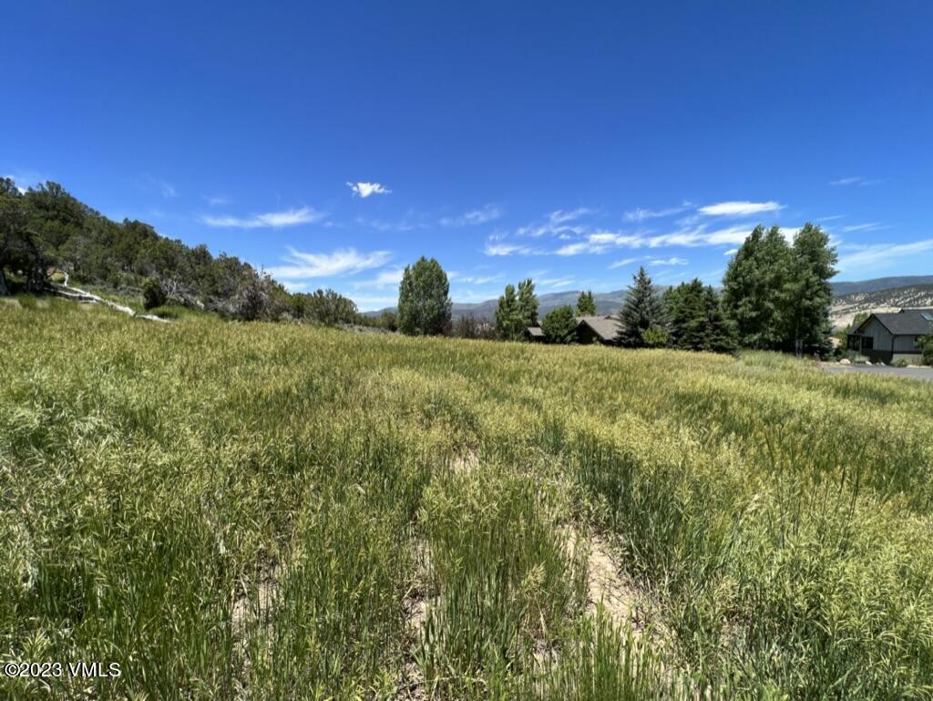 a view of a field of grass and trees