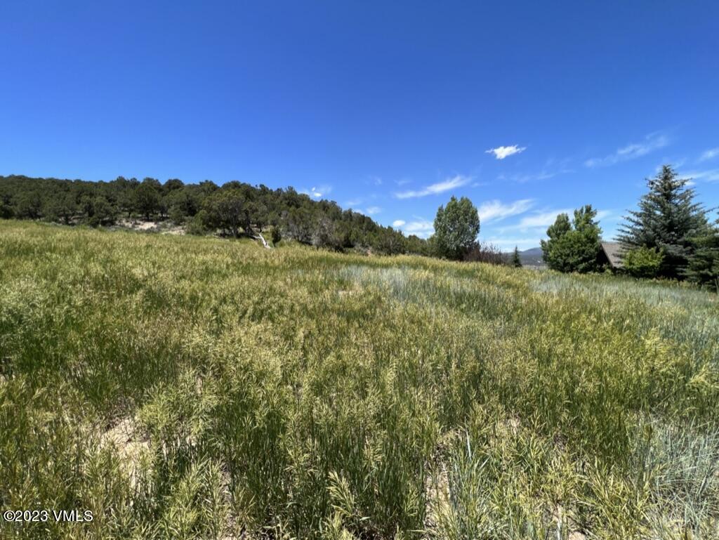58 Lone Spur Eagle, CO 81631 - Photo 3 of 22 a view of a field with a tree in the background