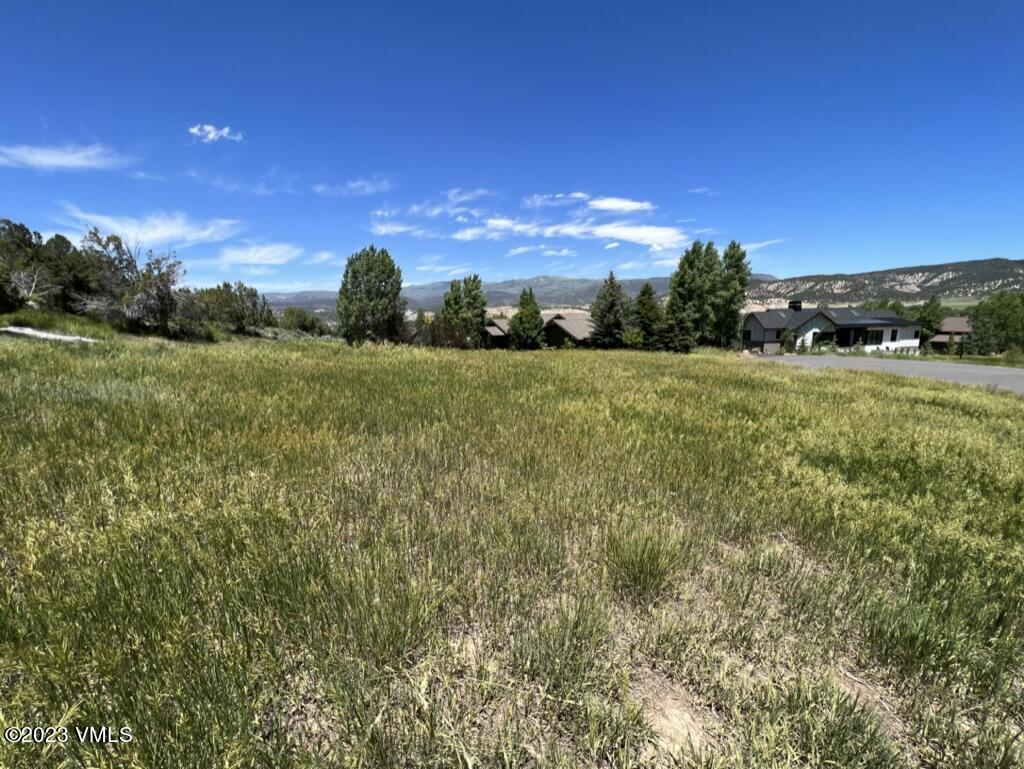 58 Lone Spur Eagle, CO 81631 - Photo 6 of 22 a view of a field with an tree