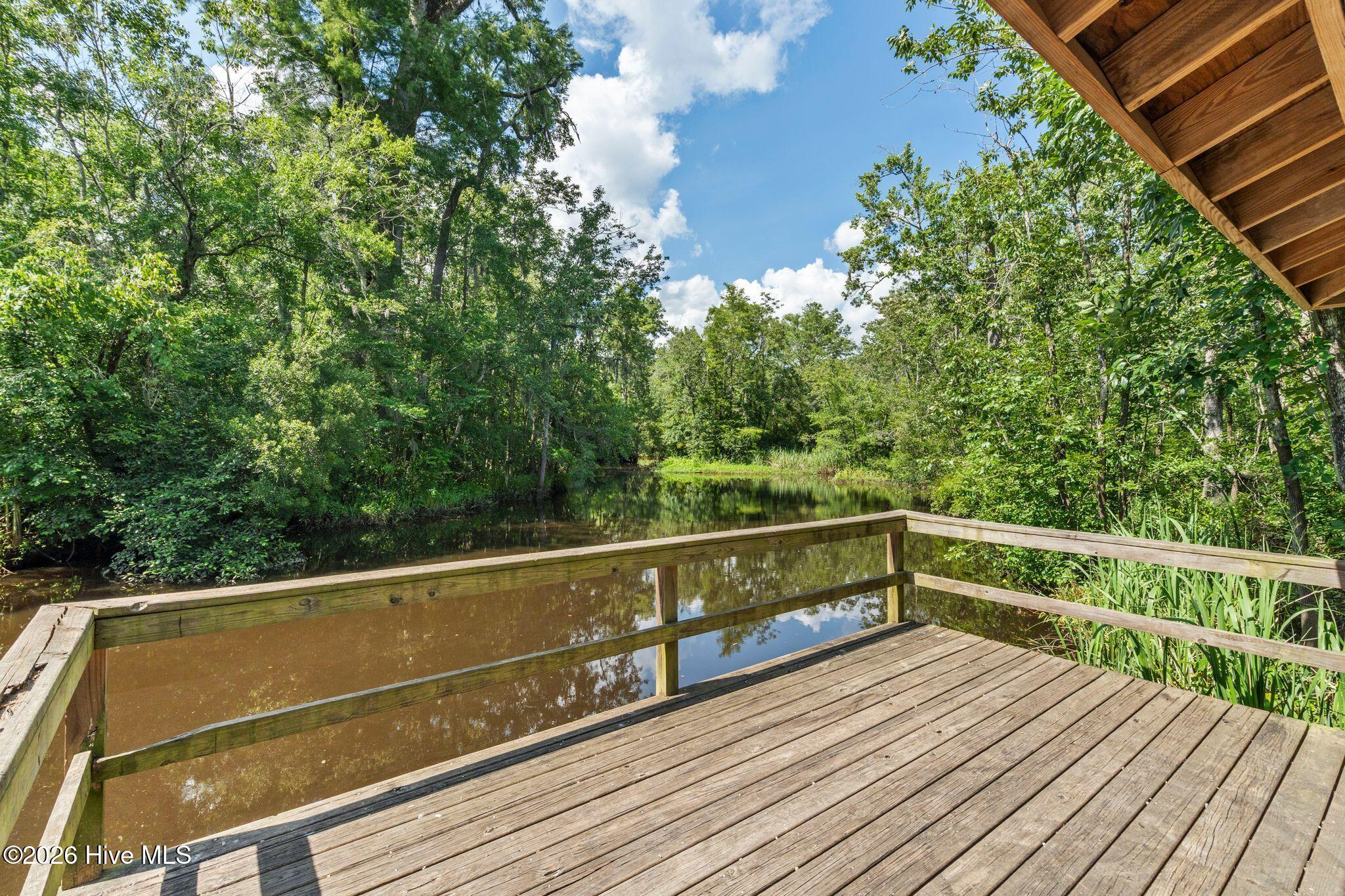 116 Sadie Way Rocky Point, NC 28457 - Photo 49 of 52