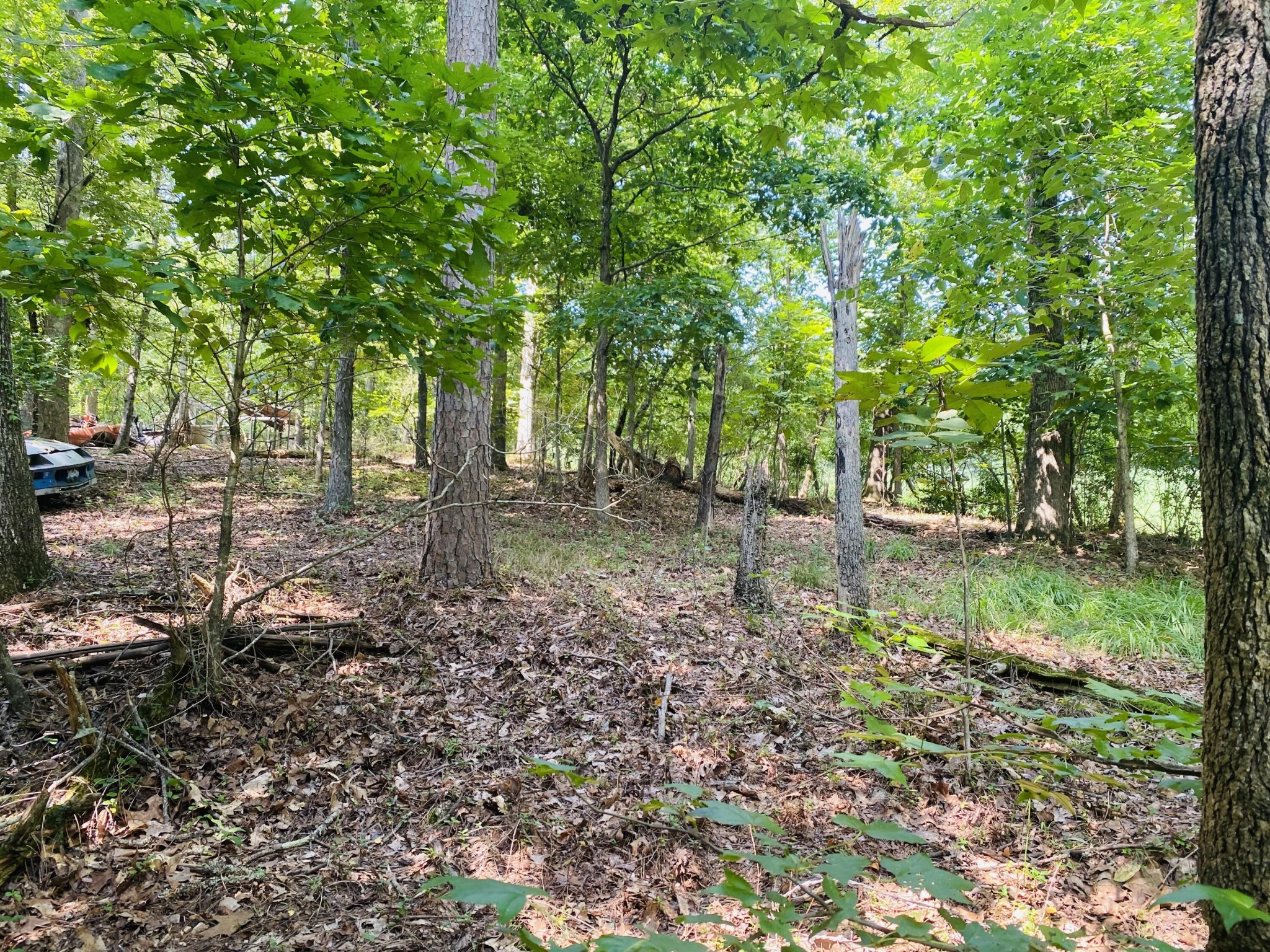 0 Blue Springs Road Harrison, TN 37341 - Photo 6 of 7 Gallery Image 6